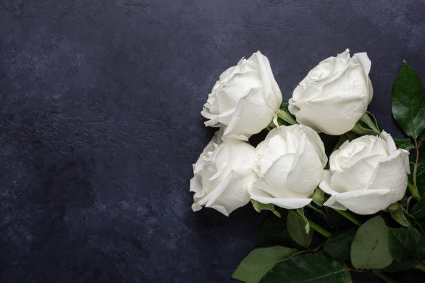 istock White rose flowers bouquet on black stone background 1147154714
