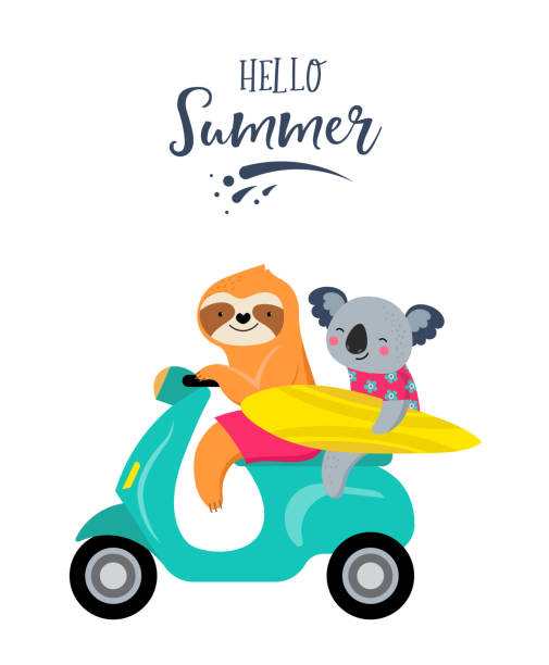 ilustrações de stock, clip art, desenhos animados e ícones de summer fun illustration with cute characters of koalas and sloths, riding a scooter. - swimming animal