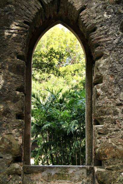 istock Ancient stone ruins in a leafy garden of Sintra 1147159610