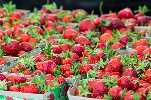 Fresh red strawberries in fruit boxes for sale at farmers market in summer in France.