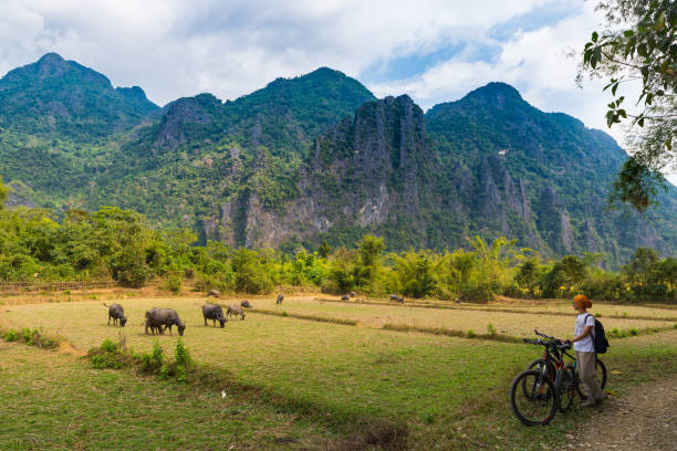 donna in mountain bike su strada sterrata in un paesaggio panoramico intorno alla destinazione di viaggio per backpacker vang vieng in laos asia pinnacoli di roccia valle verde - vang vieng foto e immagini stock