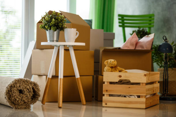 istock Moving boxes, plant, coffee table and carpet in new home 1147161396