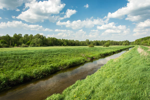 istock Eastern Poland and river flowing through meadow, forest and clouds on blue sky 1147162617
