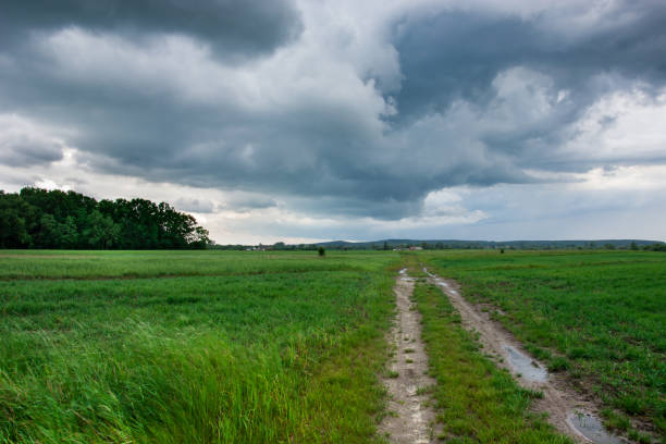 istock Dirt road through green ripening fields, horizon and storm clouds 1147162624