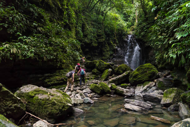 Small group of people climbing rocks at waterfall in green rainforest background.