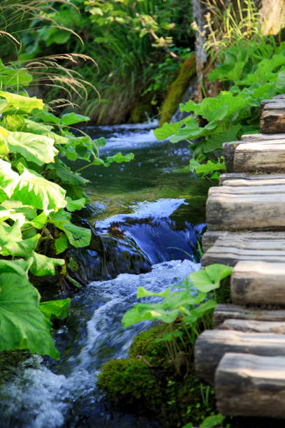 istock National Park Plitvice Lakes, Croatia 1147167478