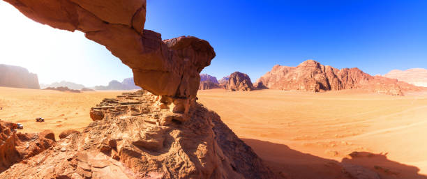 wadi rum wüste in jordanien - jordan camel wadi rum arabia stock-fotos und bilder