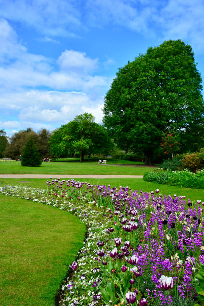 Day Out at Hyde Park Shot of Hyde Park during spring when the flowers are blooming hyde park flowers stock pictures, royalty-free photos & images