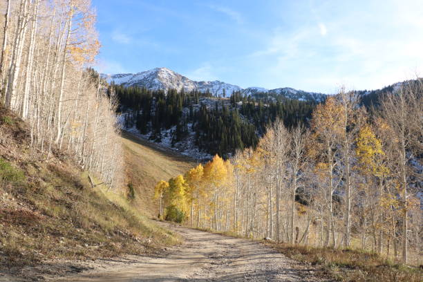 istock Fall colors of the Wasatch range with dusting of snow 1147171573