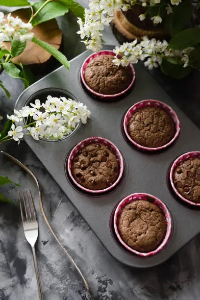 Tasty homemade pastry. Chocolate muffins with bird cherry flowers on dark background side view