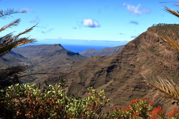 istock The green valley Barranco de Mogan on Gran Canaria 1147172500