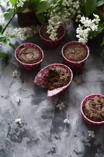 Yummy chocolate muffins and white bird cherry flowers on dark background side view