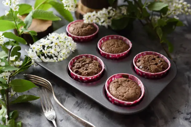 Delicious homemade chocolate muffins with bird cherry flowers on dark background side view