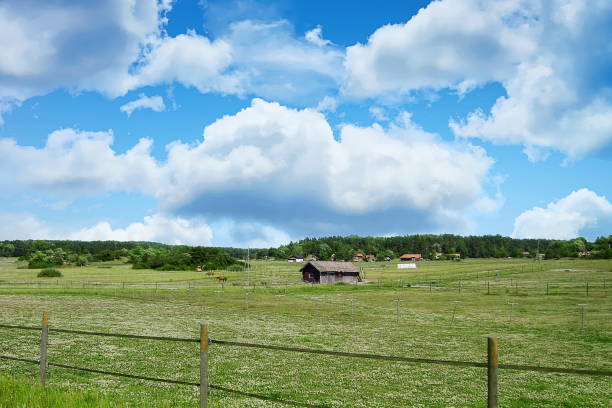 istock Landscape in Sweden 1147174741
