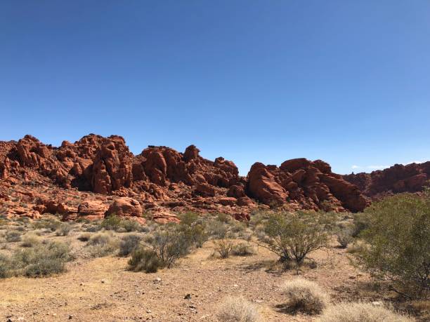 istock Valley of the fire state park 1147175920