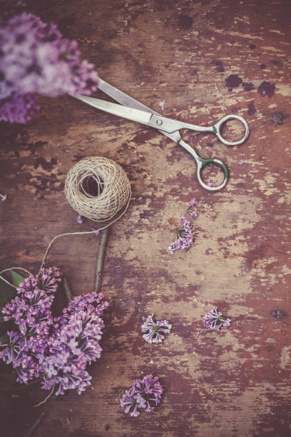 istock Lilac flowers and scissors on wooden table 1147176386