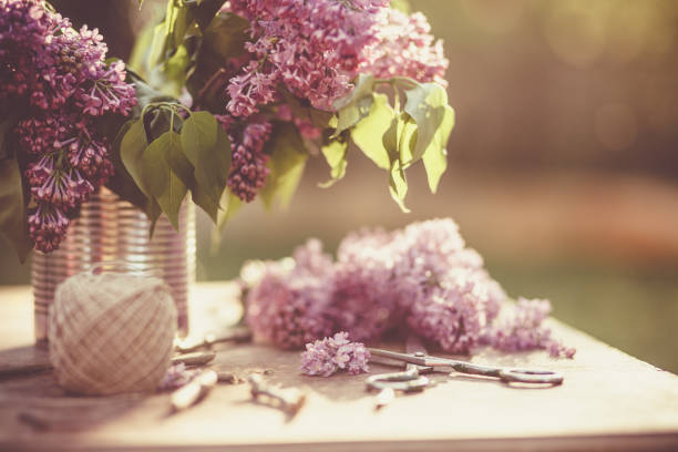 Branches of lilac stand in a can on wooden table outdoors in the garden.