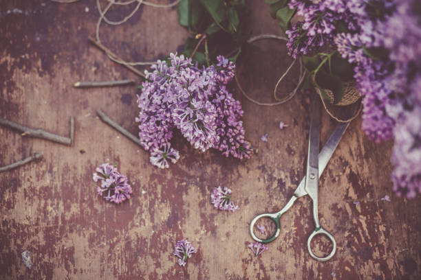istock Lilac flowers and scissors on wooden table 1147176933