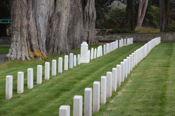 san francisco national cemetery - san francisco national military cemetery stock-fotos und bilder