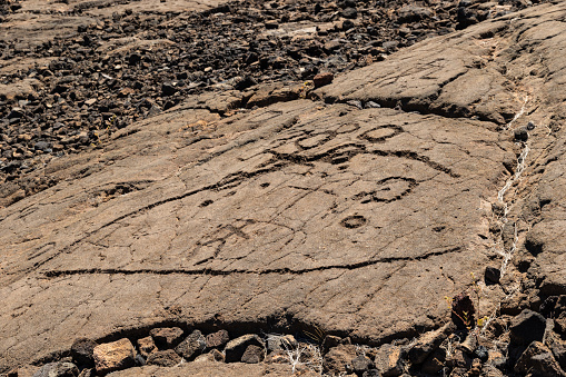 Ground granite rock with two groups of concentric circles, Pena de Chaos petroglyphs decoration and ancestral art , Antas de Ulla, Lugo province, Galicia, Spain, set in early Bronze Age. Petroglyphs are of public free access.