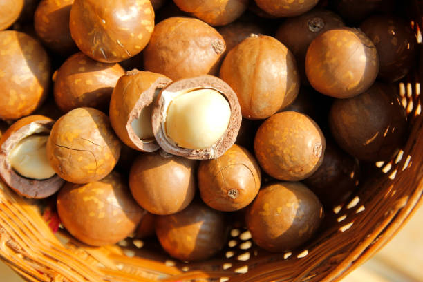 istock pile of macadamia nuts  in basket 1147181319
