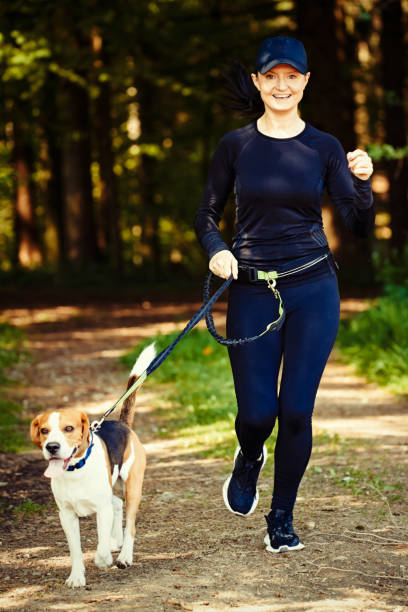 istock Girl walking with beagle dog outdoors in nature on a path in forest. 1147183955