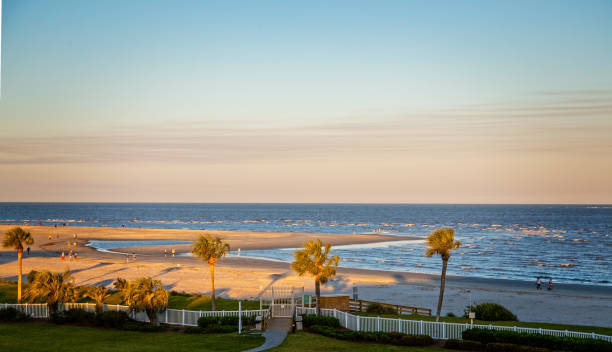 istock Golden Hour at the Beach 1147184126