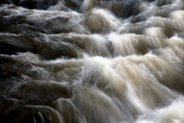 istock Raging River Flood Water with white foam 1147188134