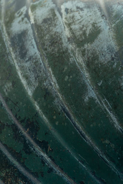 istock Close Up of Hull 1147188144