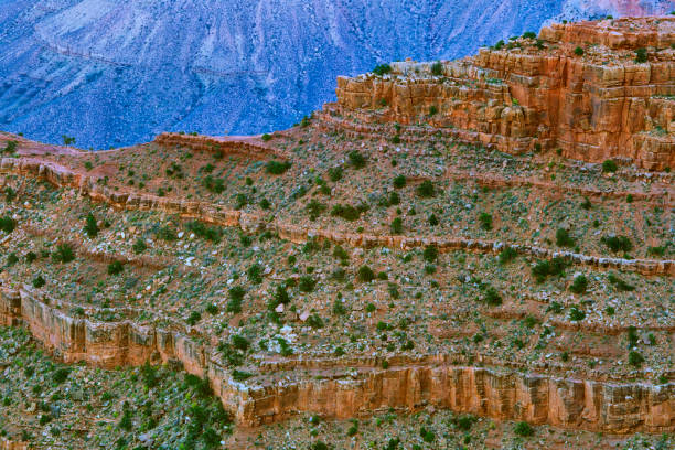 Grand Canyon National Park in Arizona View from the south rim of the Grand Canyon in Arizona barron gorge national park stock pictures, royalty-free photos & images