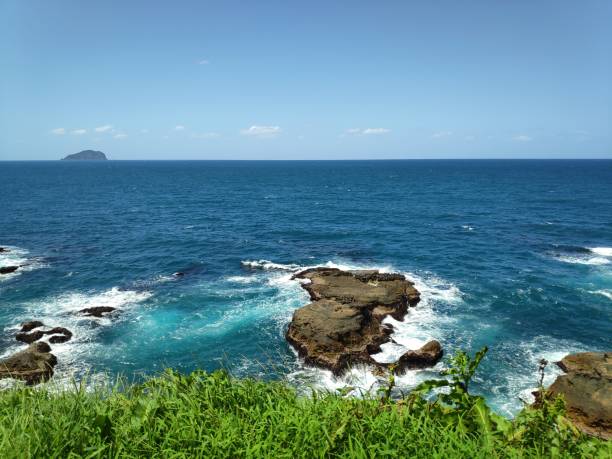 istock beautiful beach with deep blue water and light blue sky and nice flower 1147200936
