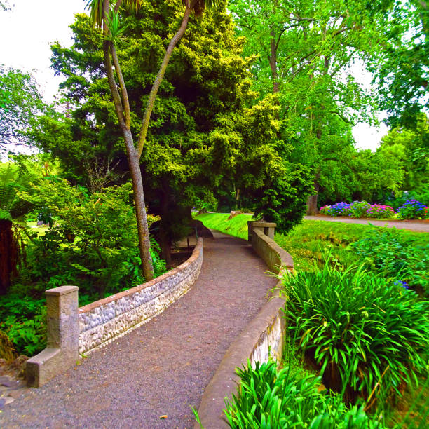 istock New Zealand Botanical Gardens 1147220984
