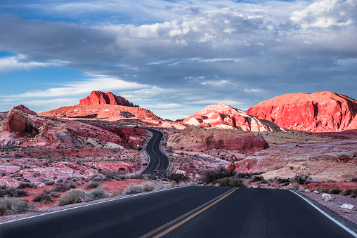 Desert Road