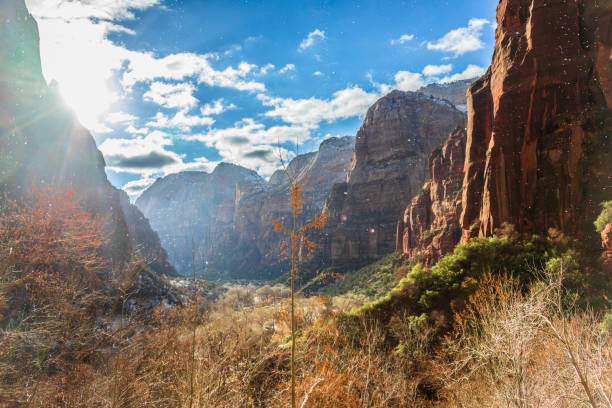 istock Zion National Park 1147221989