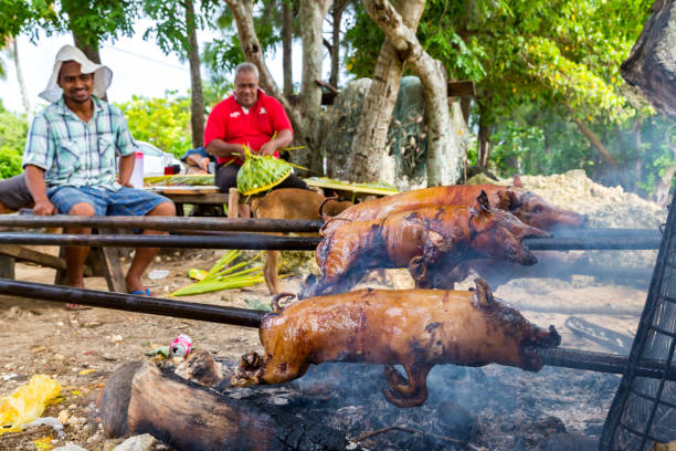 group of local native indigenous polynesian men does a pork barbecue of small piglets on an open fire on a tongan beach under palms. polynesia, oceania, south pacific. - south pacific ocean island polynesia tropical climate imagens e fotografias de stock