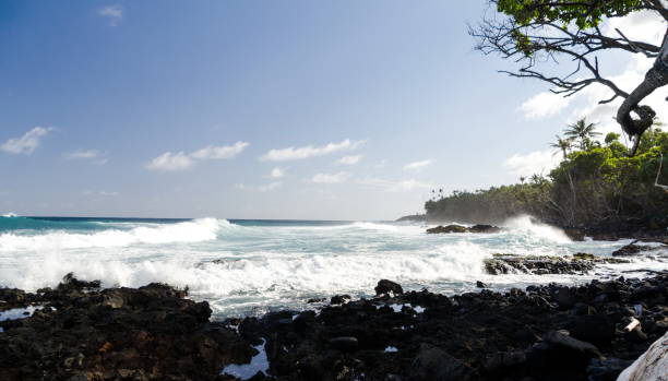 surf golpea la costa de árboles de palmeras y madera seca en la playa de pohoiki, isaac hale park, hawái - kapoho fotografías e imágenes de stock