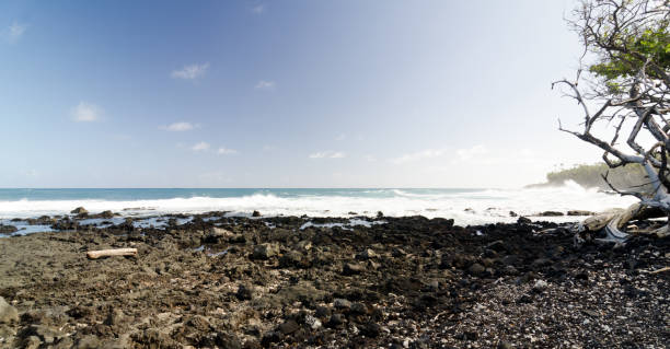 sabbie nere e rocce sulla spiaggia di pohoiki, isaac hale park - kapoho foto e immagini stock