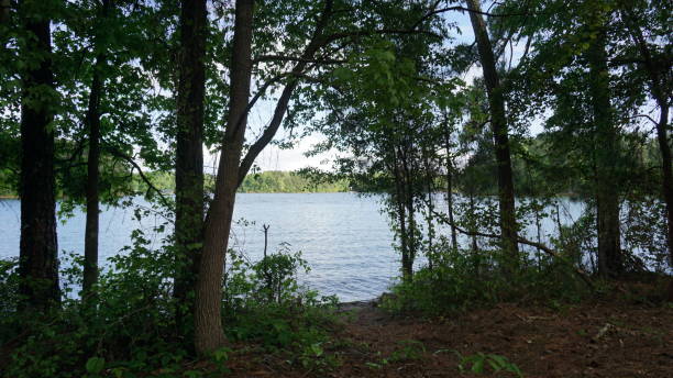 istock The Lake Beyond the Footpath 1147230421