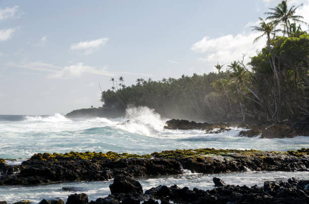 il surf colpisce la costa degli alberi di palme e legno secco sulla spiaggia di pohoiki, isaac hale park, hawaii - kapoho foto e immagini stock