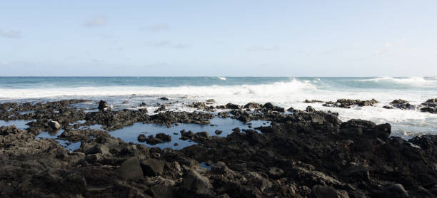 surf ruvido ai margini di sabbie nere della spiaggia di pohoiki, isaac hale beach park, big island, hawaii - kapoho foto e immagini stock