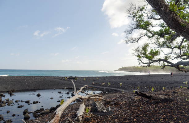 esp.html stagno d'acqua da stale sulla spiaggia di pohoiki, big island, hawaii - kapoho foto e immagini stock