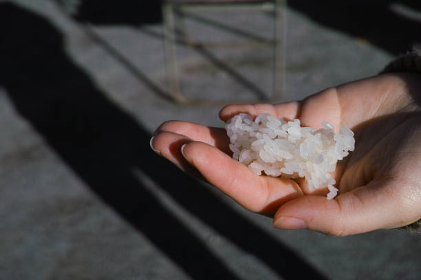 A hand holding freshly cooked white rice, used to make mochi