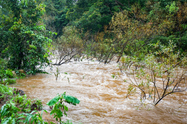 istock Water flood on river after heavy rain rapids water flow copiously from mountain stream 1147237716