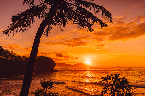Coconut palms and sunrise at tropical beach with ocean
