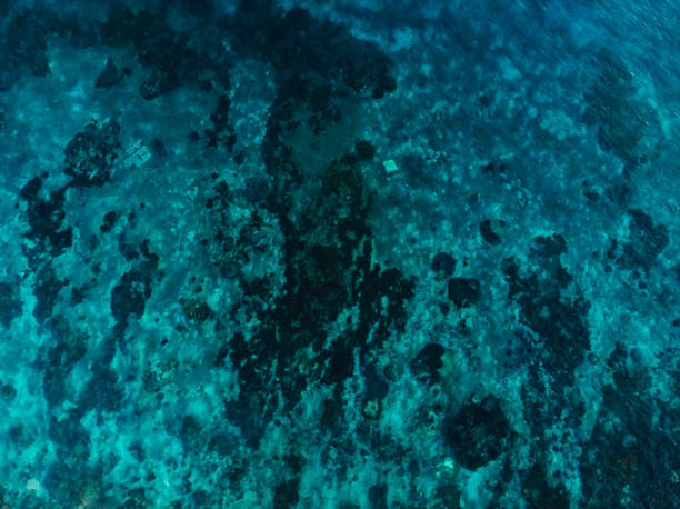 istock Turquoise ocean water with coral reef, aerial. Top view 1147238730