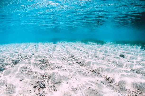 istock Tropical blue sea with white sand underwater in Hawaii 1147238914