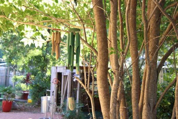 Focus on bamboo garden chimes hanging from tree in backyard