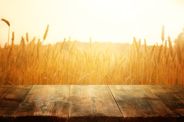 wood board table in front of field of wheat on sunset light. Ready for product display montage