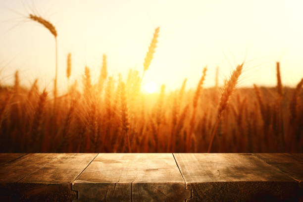 istock wood board table in front of field of wheat on sunset light. Ready for product display montage 1147242597