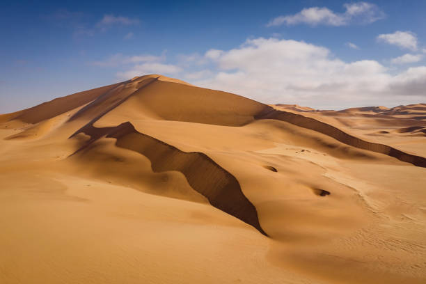 namib desert sand dune walvis bay dunes of namib namibia - namibia sand dune namib desert desert zdjęcia i obrazy z banku zdjęć